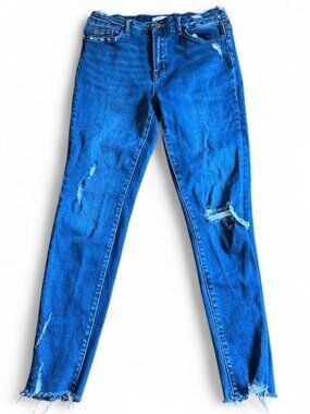 EUC Women's Blue Vervet Skinny Jeans